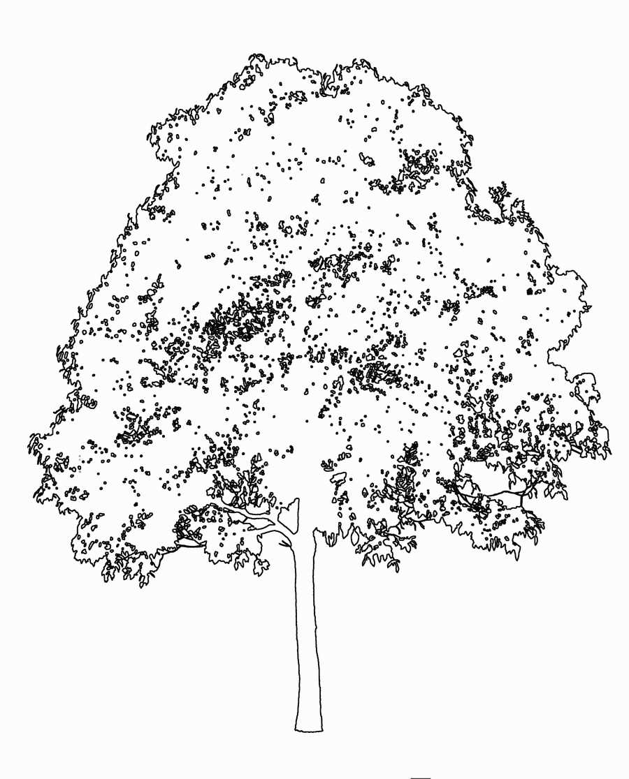 Trees and Shrubs 2 - TenkeiKoubou ></a>
<script language=JavaScript> 
  var txt = 