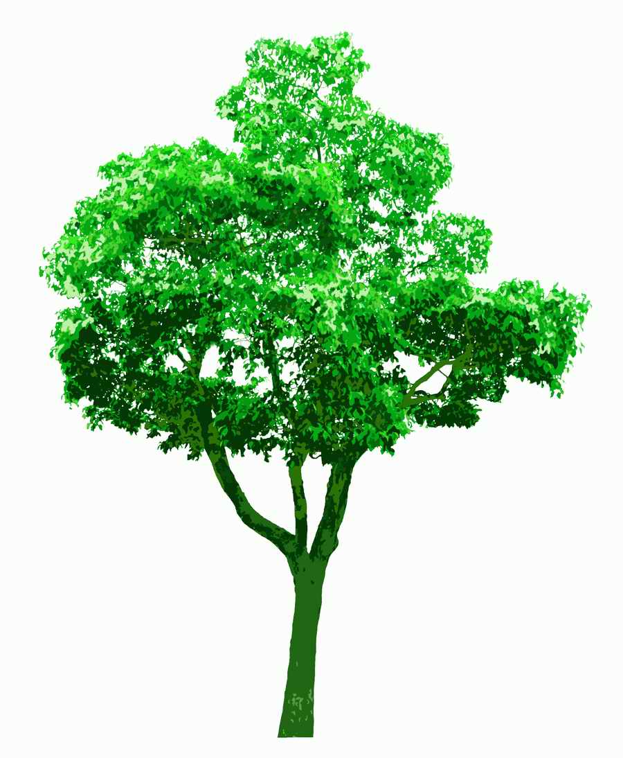 Trees and Shrubs 2 - TenkeiKoubou ></a>
<script language=JavaScript> 
  var txt = 