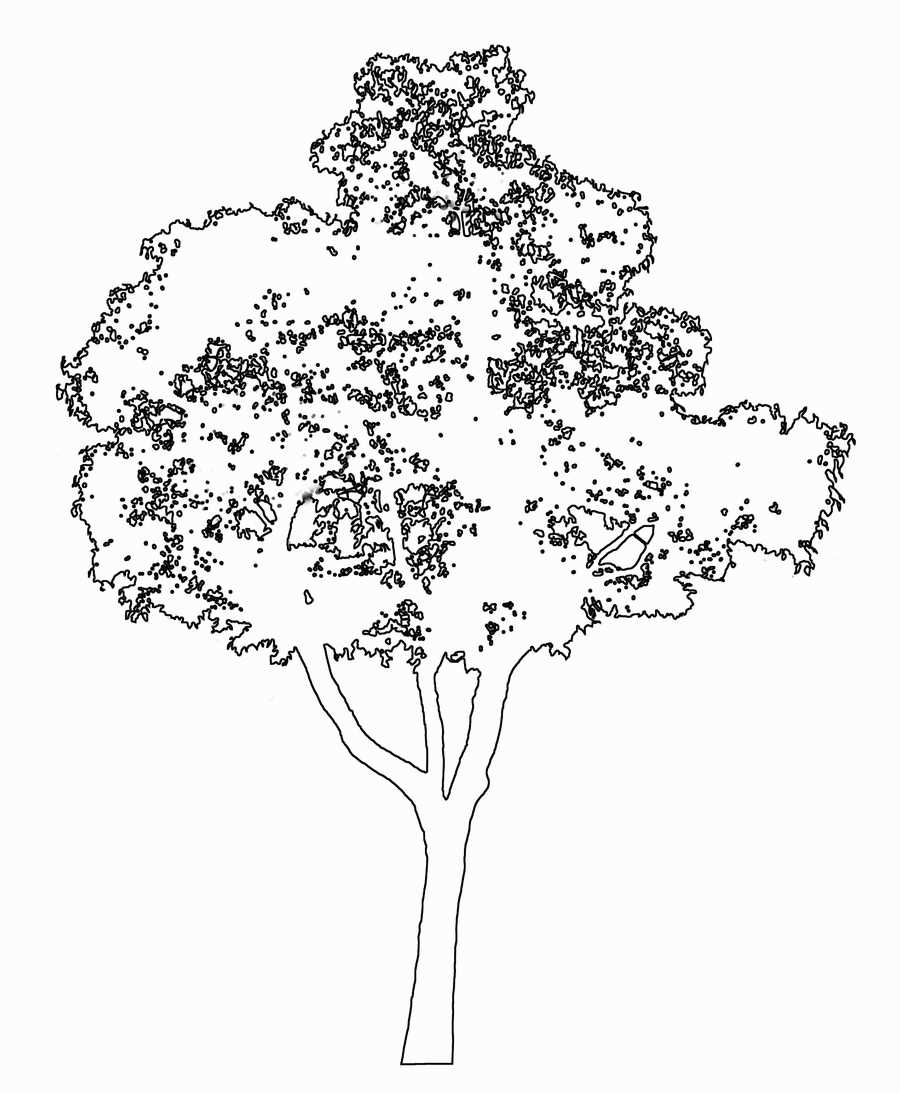 Trees and Shrubs 2 - TenkeiKoubou ></a>
<script language=JavaScript> 
  var txt = 