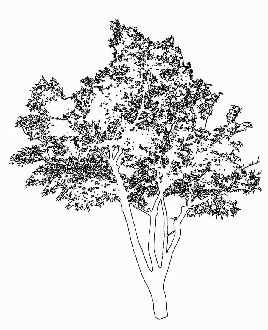 Trees and Shrubs 2 - TenkeiKoubou ></a>
<script language=JavaScript> 
  var txt = 