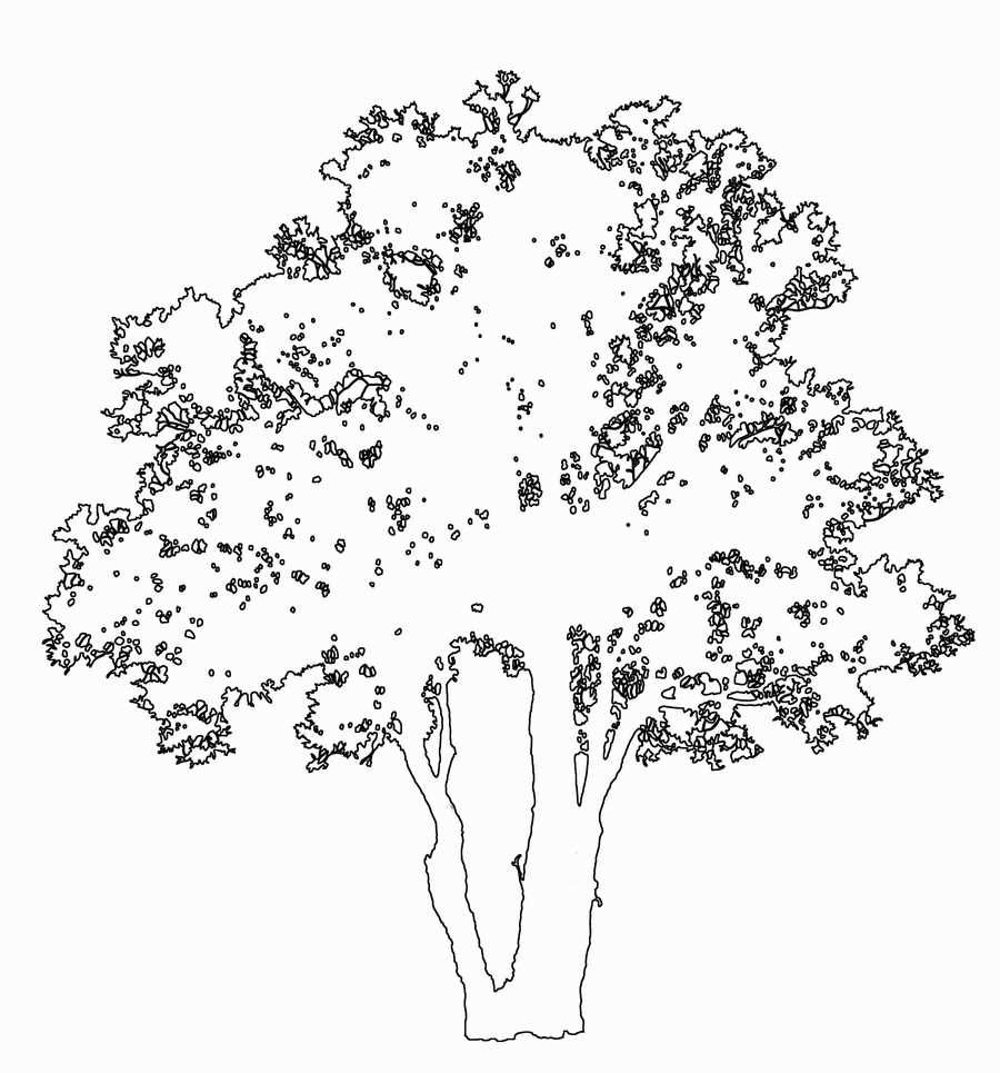 Trees and Shrubs 2 - TenkeiKoubou ></a>
<script language=JavaScript> 
  var txt = 