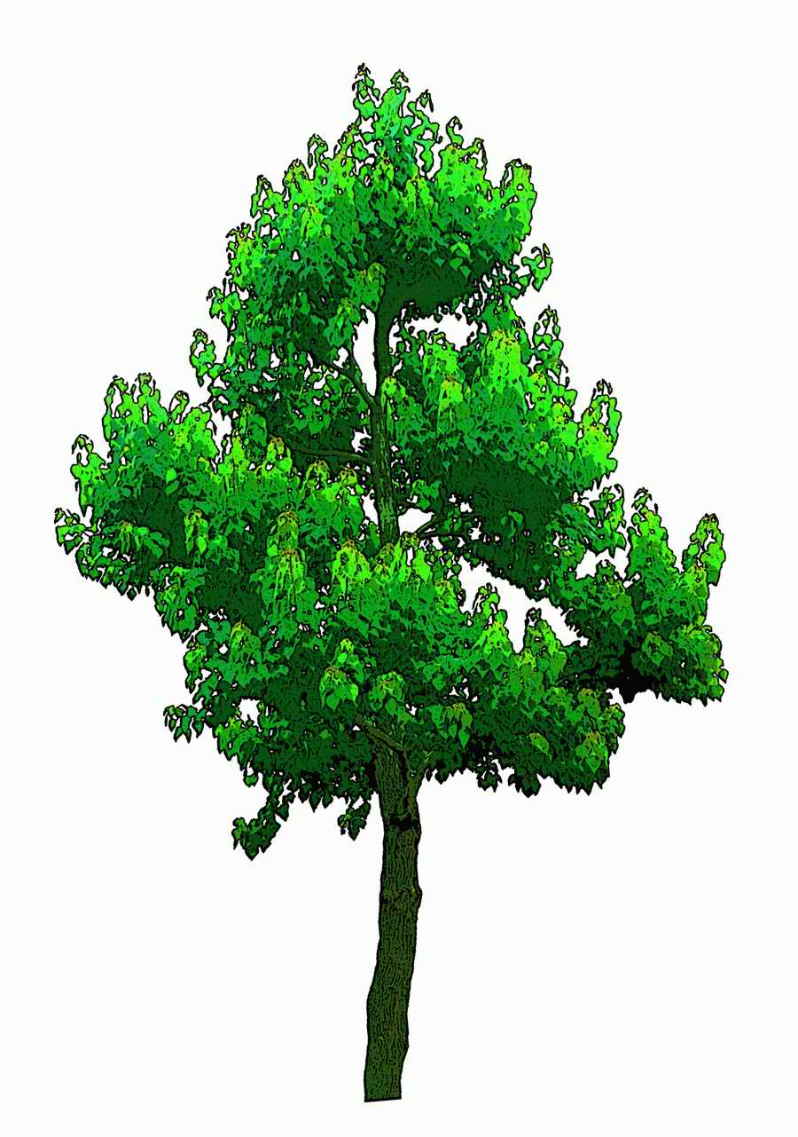 Trees and Shrubs 2 - TenkeiKoubou ></a>
<script language=JavaScript> 
  var txt = 