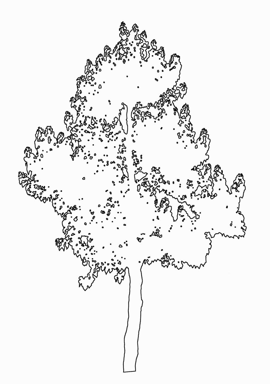 Trees and Shrubs 2 - TenkeiKoubou ></a>
<script language=JavaScript> 
  var txt = 