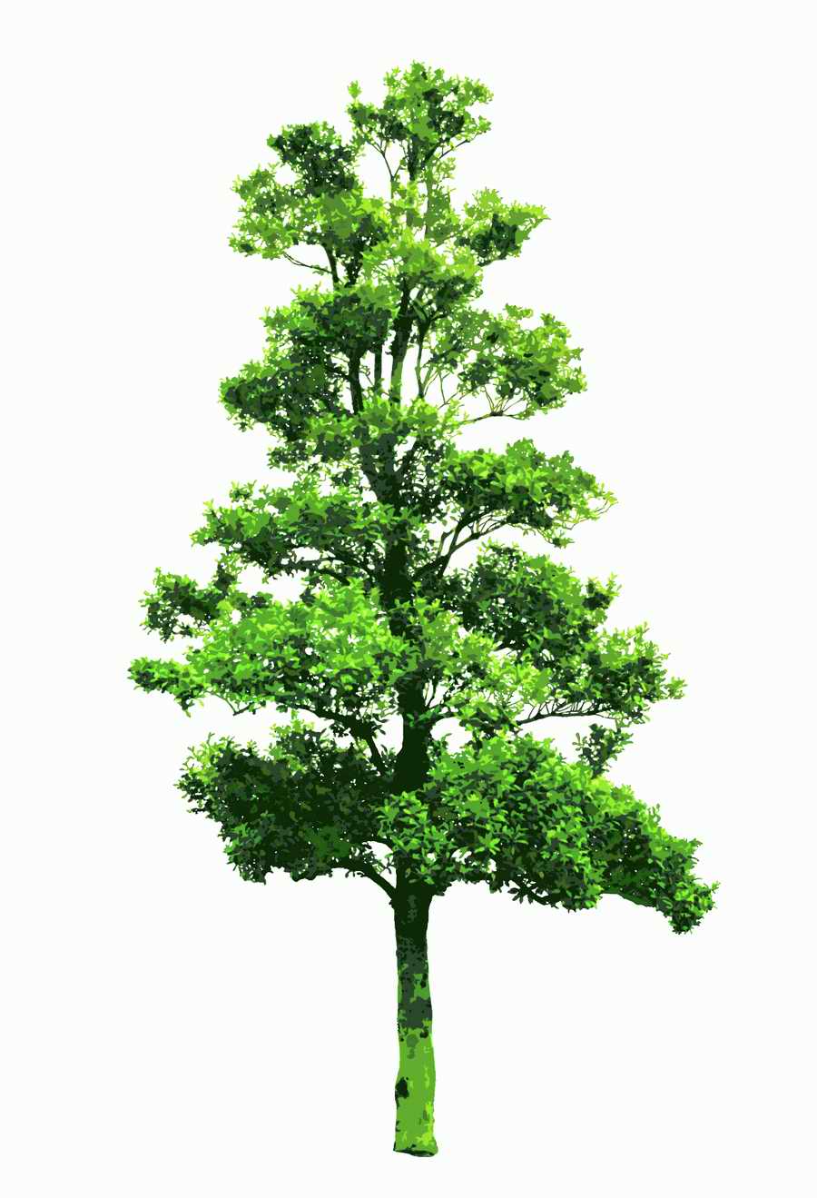 Trees and Shrubs 2 - TenkeiKoubou ></a>
<script language=JavaScript> 
  var txt = 