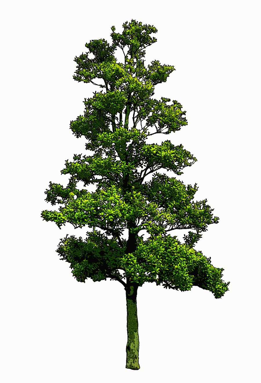 Trees and Shrubs 2 - TenkeiKoubou ></a>
<script language=JavaScript> 
  var txt = 