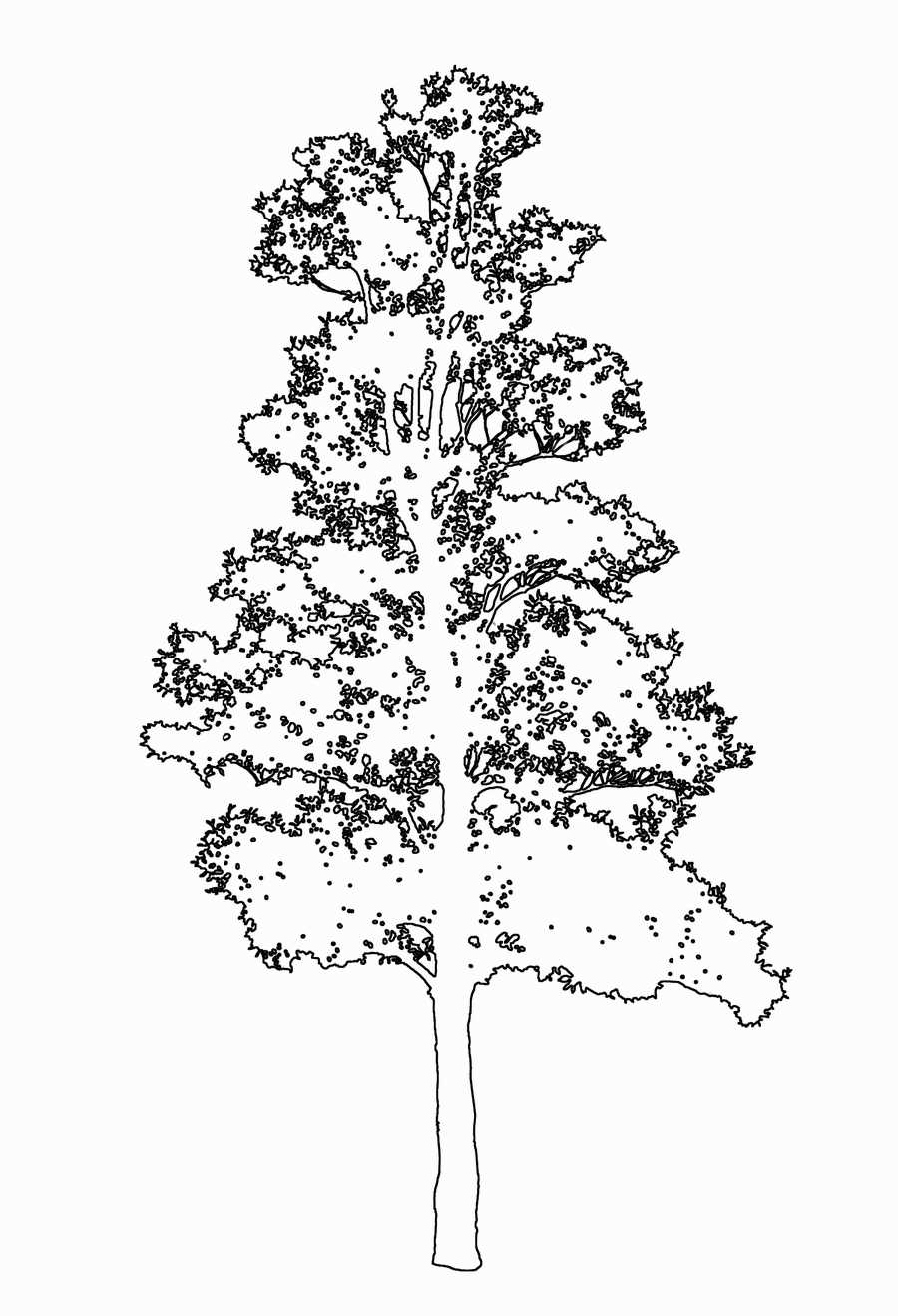 Trees and Shrubs 2 - TenkeiKoubou ></a>
<script language=JavaScript> 
  var txt = 