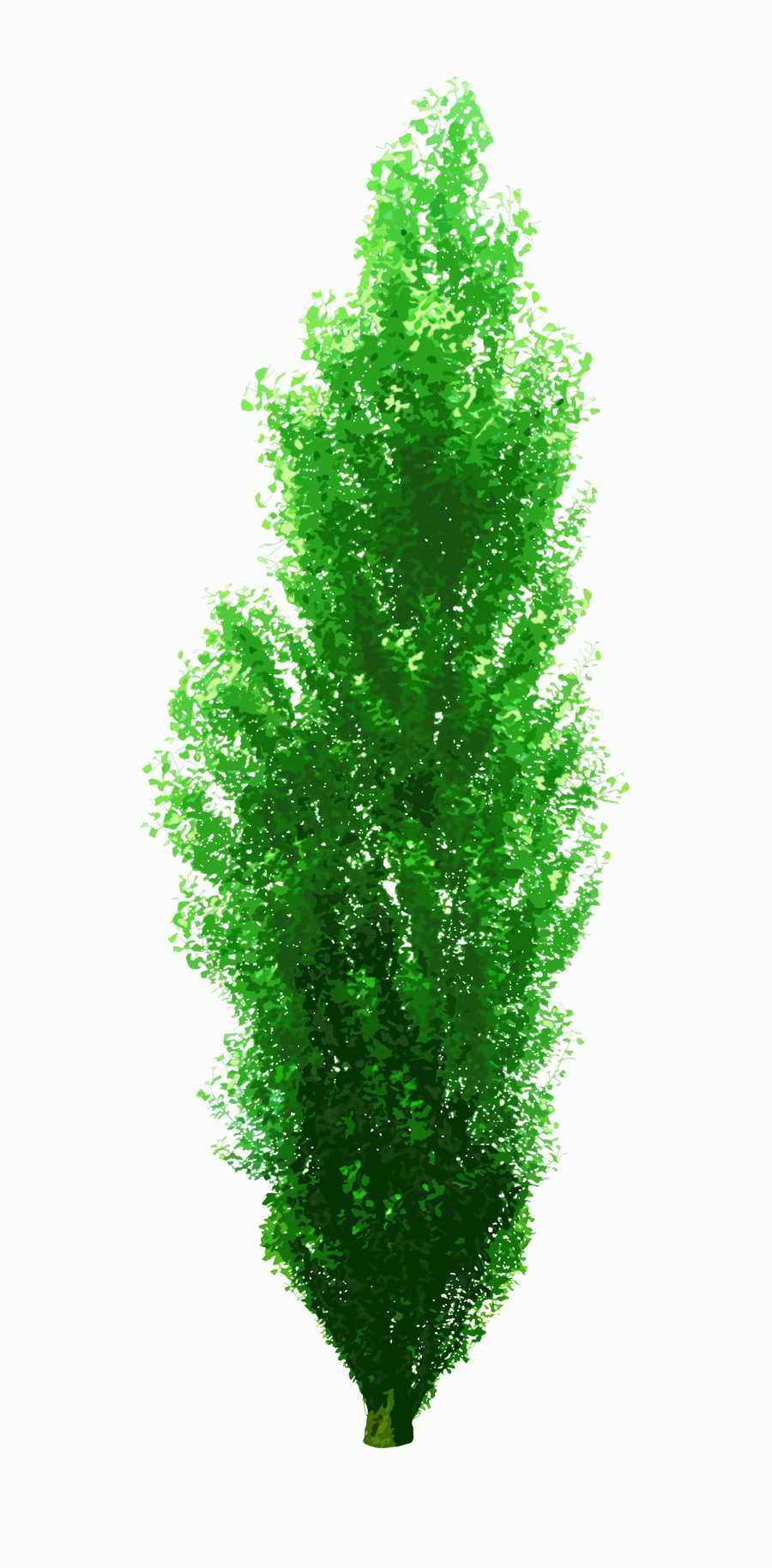 Trees and Shrubs 2 - TenkeiKoubou ></a>
<script language=JavaScript> 
  var txt = 