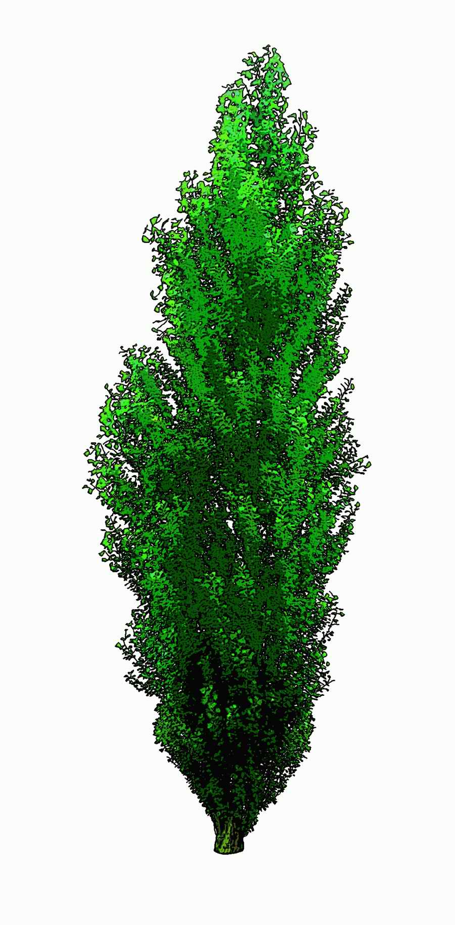 Trees and Shrubs 2 - TenkeiKoubou ></a>
<script language=JavaScript> 
  var txt = 