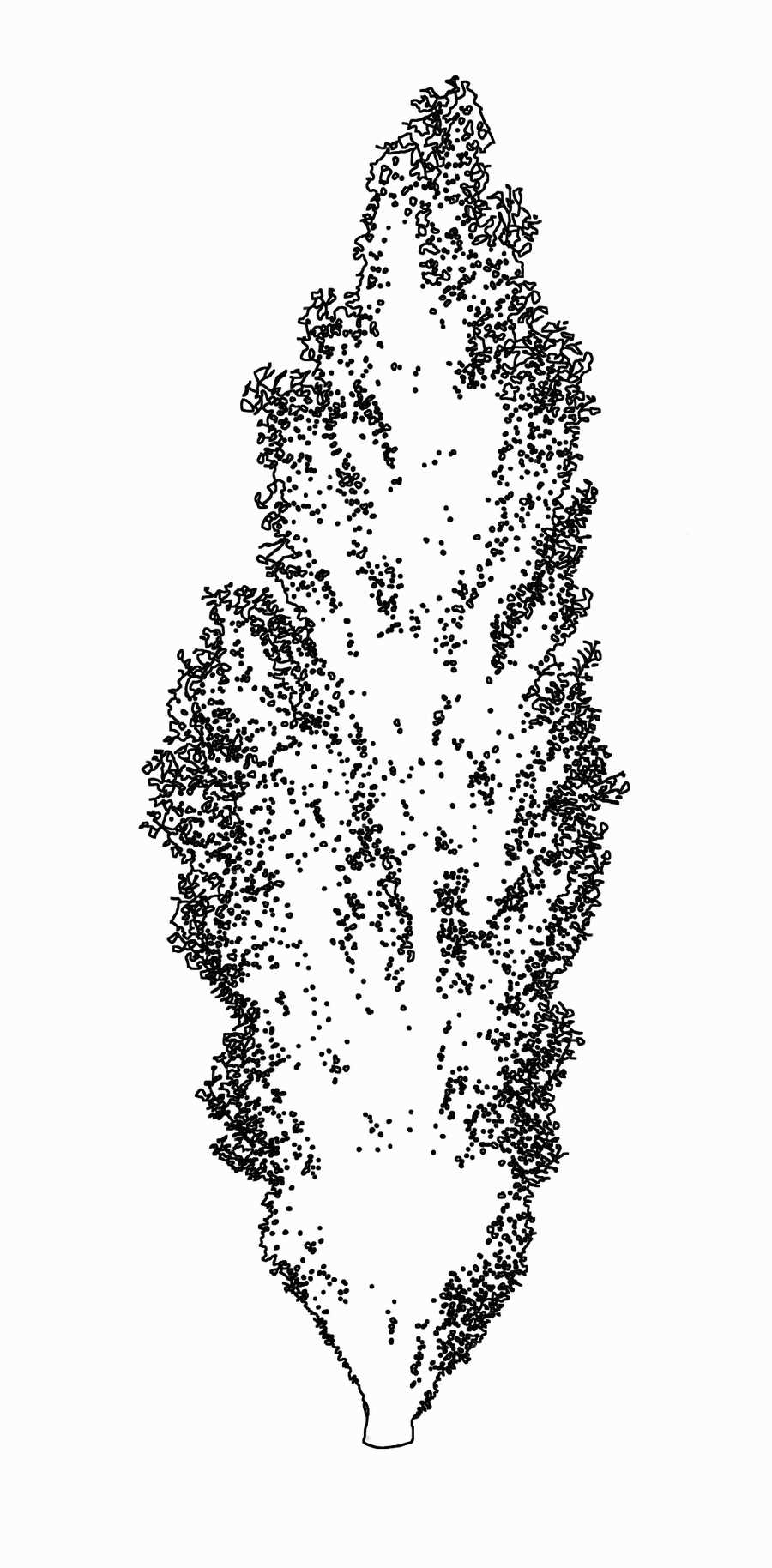 Trees and Shrubs 2 - TenkeiKoubou ></a>
<script language=JavaScript> 
  var txt = 