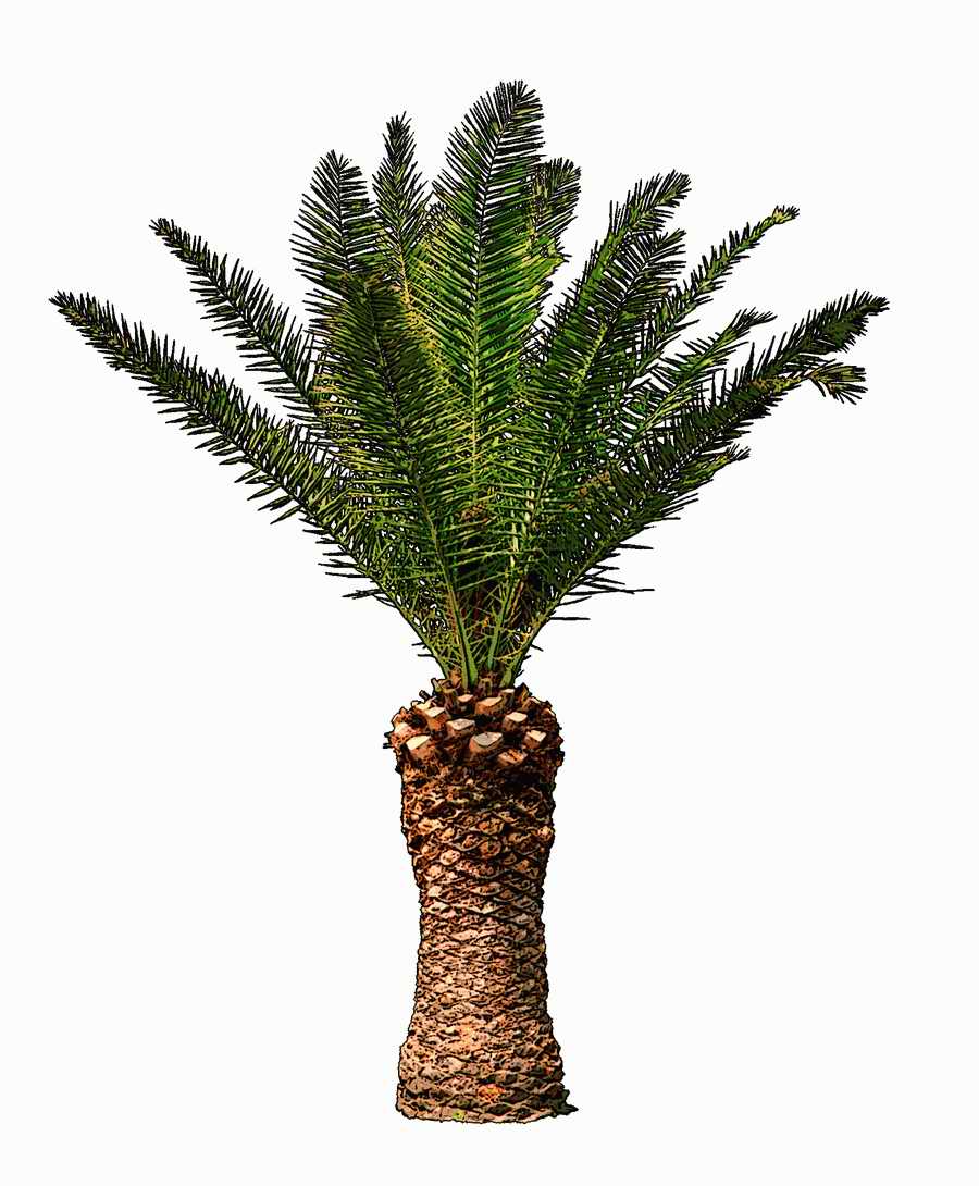 Trees and Shrubs 2 - TenkeiKoubou ></a>
<script language=JavaScript> 
  var txt = 