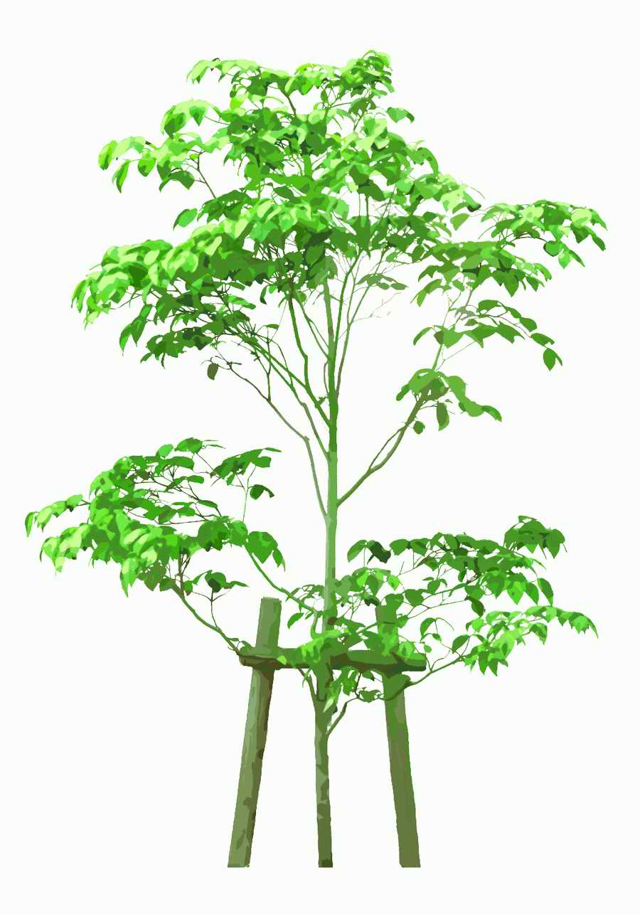 Trees and Shrubs 2 - TenkeiKoubou ></a>
<script language=JavaScript> 
  var txt = 