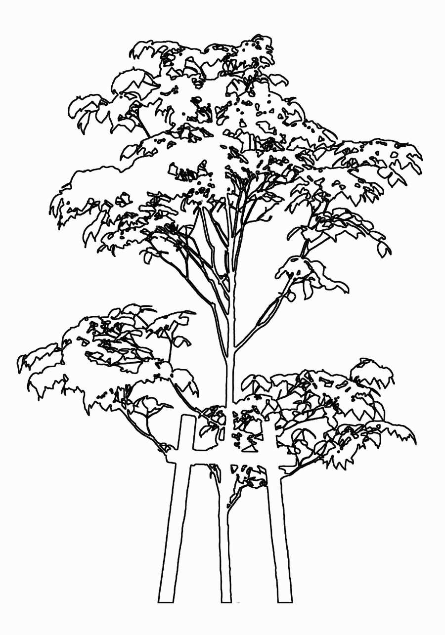 Trees and Shrubs 2 - TenkeiKoubou ></a>
<script language=JavaScript> 
  var txt = 