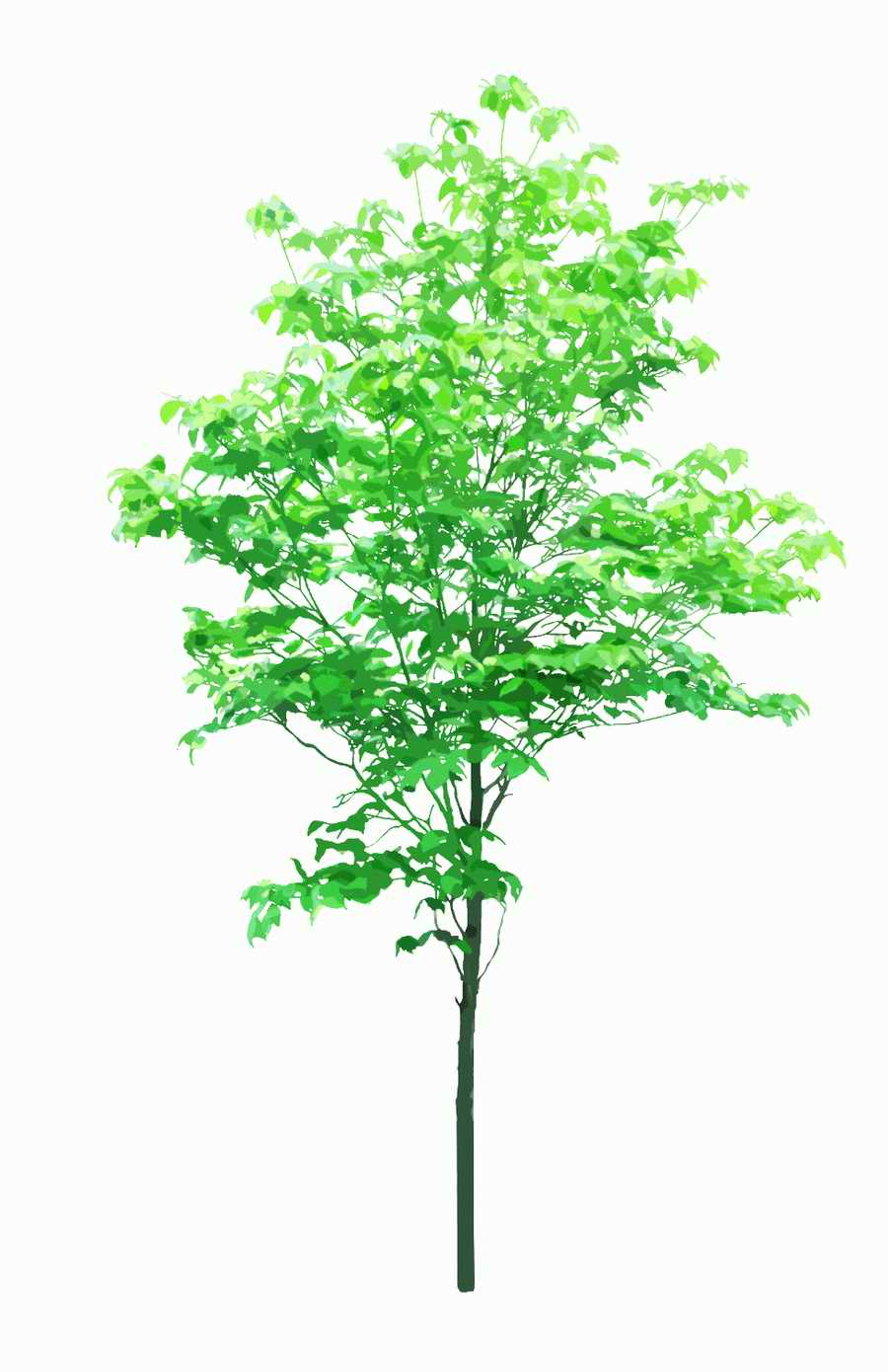 Trees and Shrubs 2 - TenkeiKoubou ></a>
<script language=JavaScript> 
  var txt = 