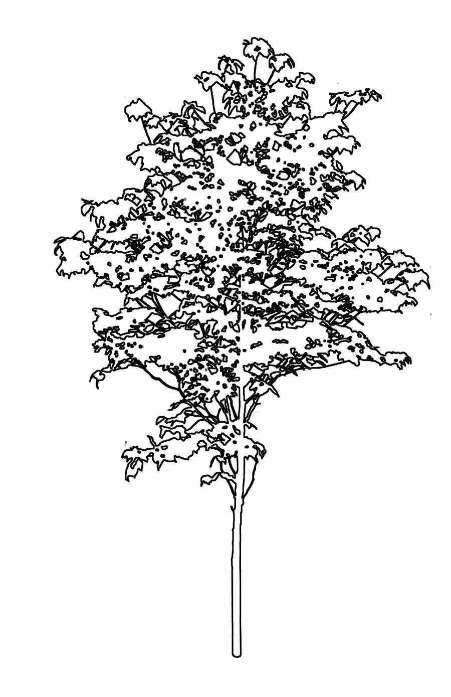 Trees and Shrubs 2 - TenkeiKoubou ></a>
<script language=JavaScript> 
  var txt = 