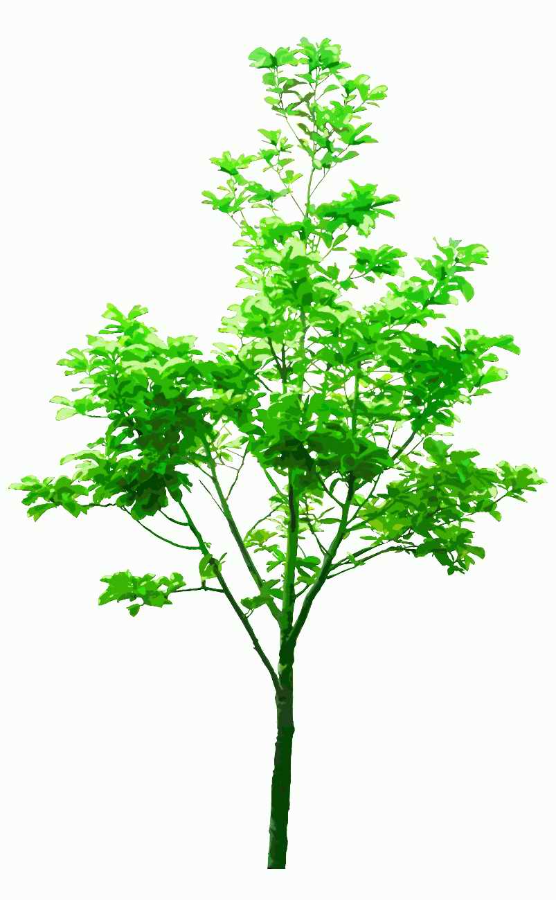 Trees and Shrubs 2 - TenkeiKoubou ></a>
<script language=JavaScript> 
  var txt = 