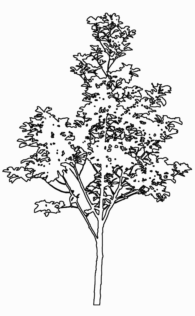 Trees and Shrubs 2 - TenkeiKoubou ></a>
<script language=JavaScript> 
  var txt = 