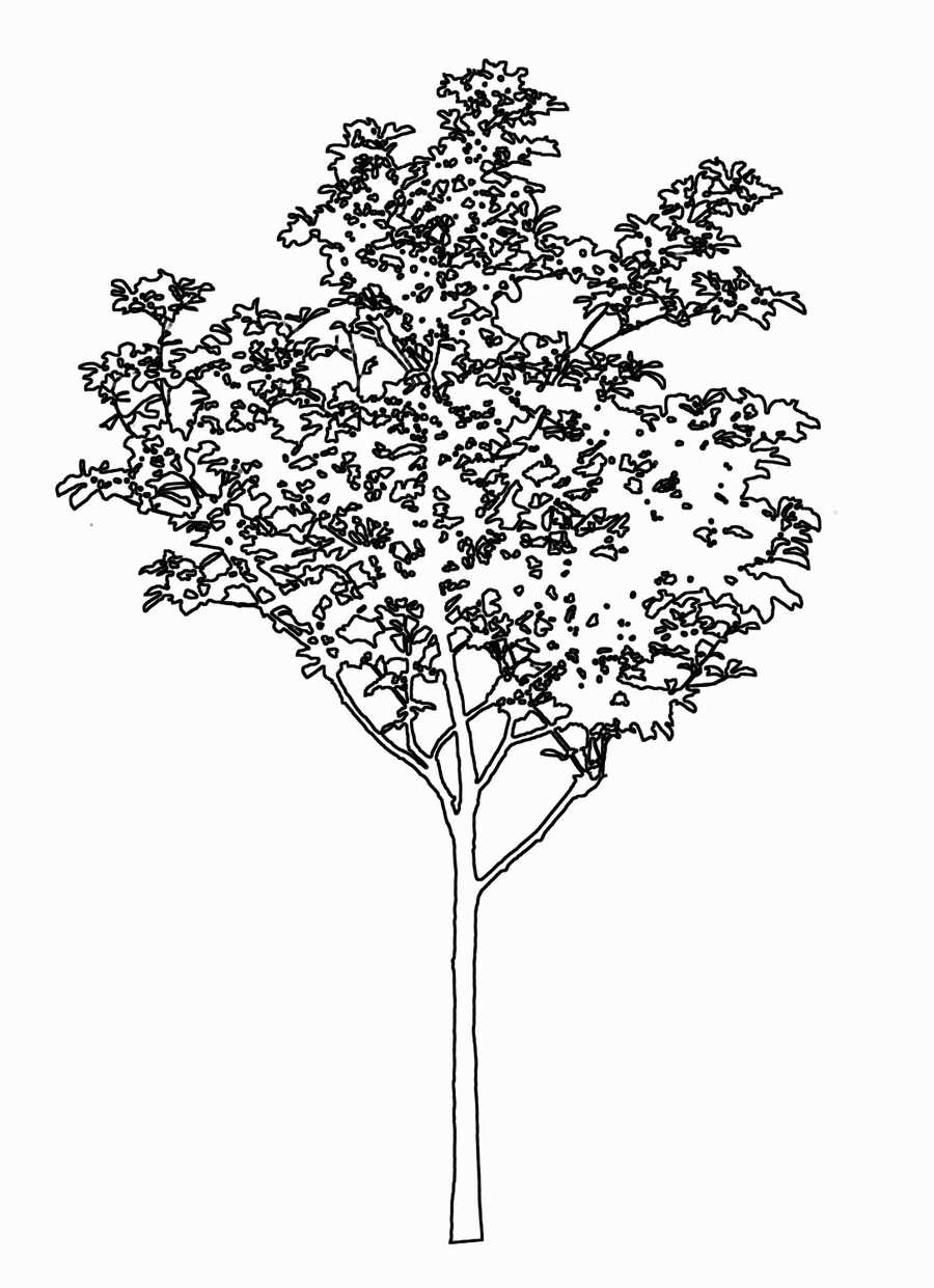 Trees and Shrubs 2 - TenkeiKoubou ></a>
<script language=JavaScript> 
  var txt = 