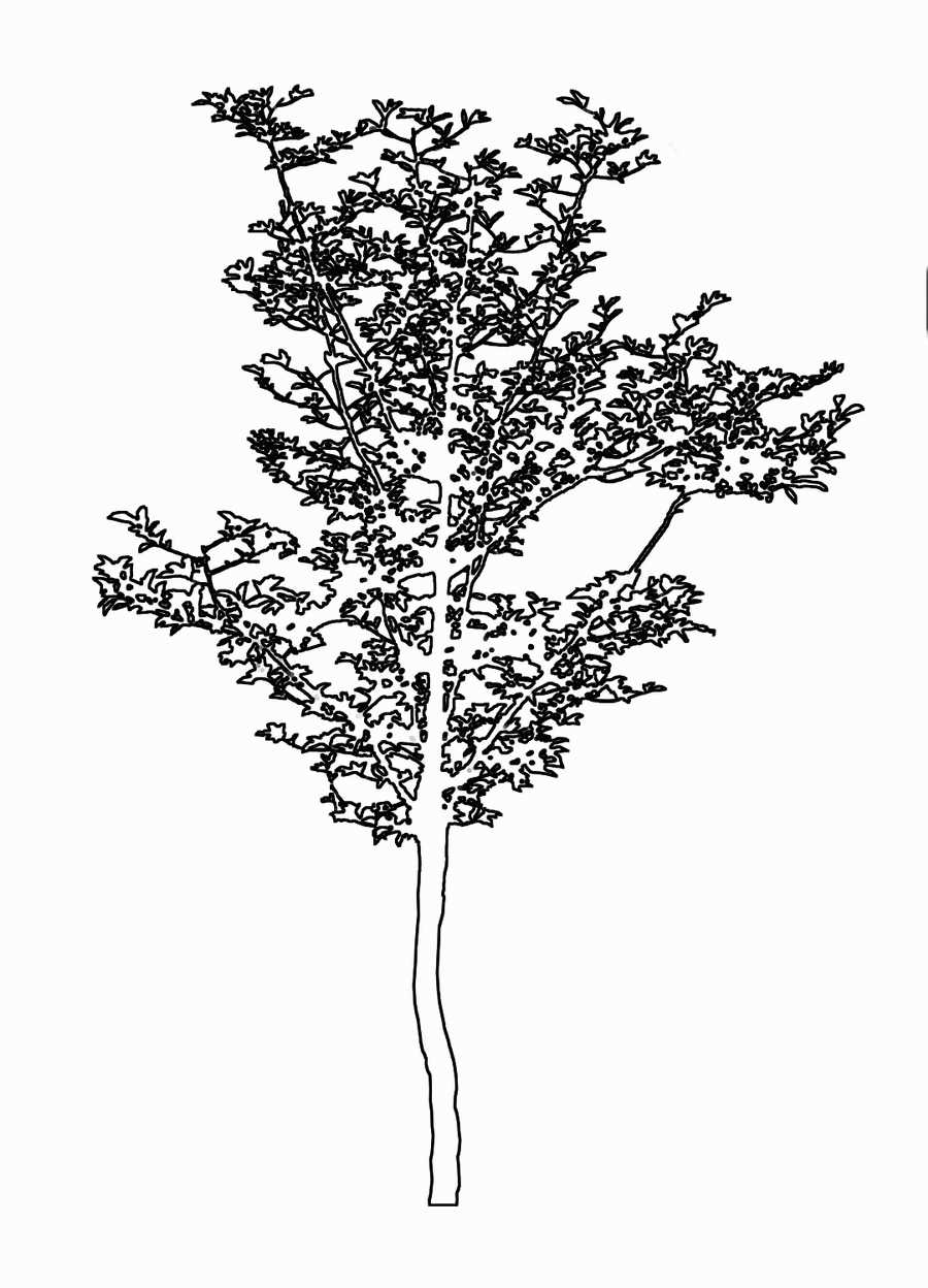 Trees and Shrubs 2 - TenkeiKoubou ></a>
<script language=JavaScript> 
  var txt = 