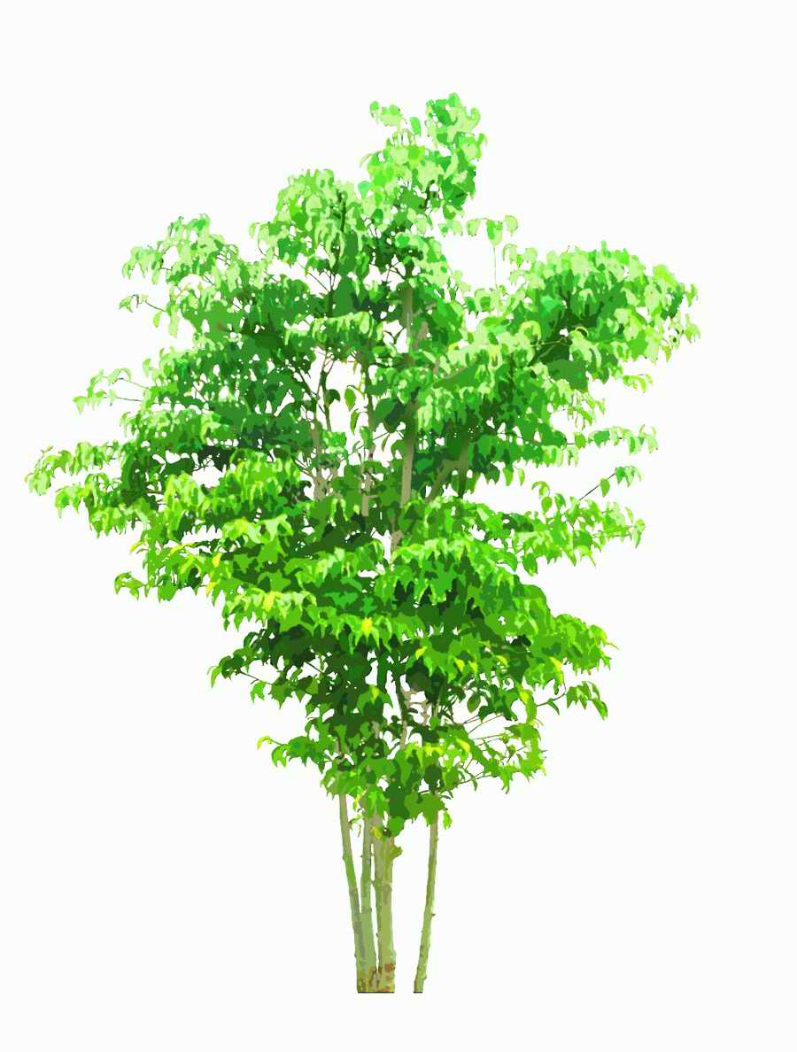 Trees and Shrubs 2 - TenkeiKoubou ></a>
<script language=JavaScript> 
  var txt = 