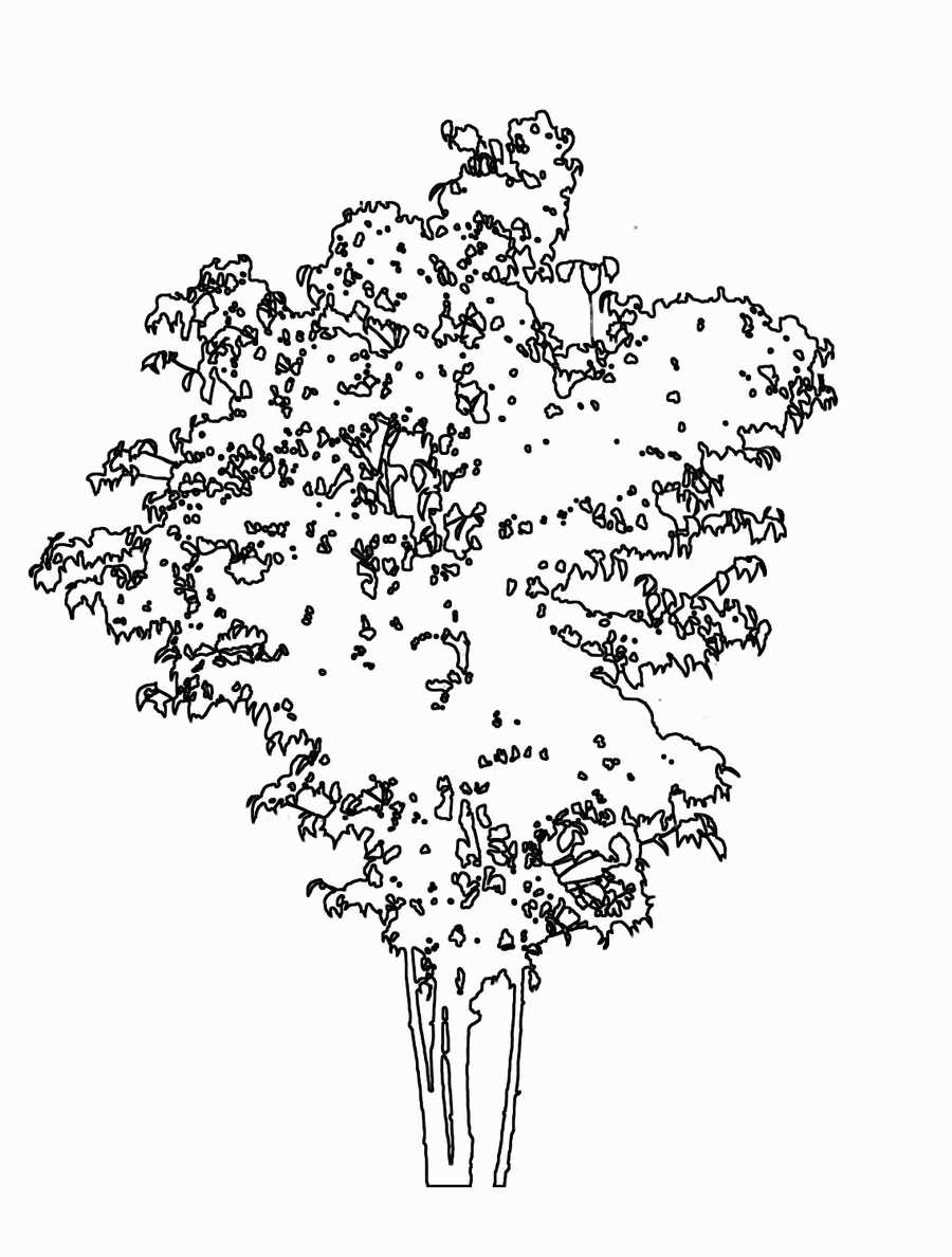 Trees and Shrubs 2 - TenkeiKoubou ></a>
<script language=JavaScript> 
  var txt = 