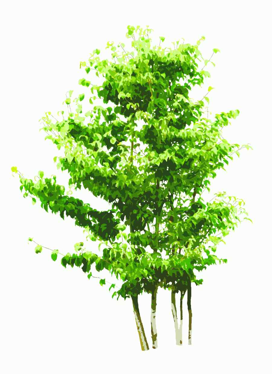 Trees and Shrubs 2 - TenkeiKoubou ></a>
<script language=JavaScript> 
  var txt = 