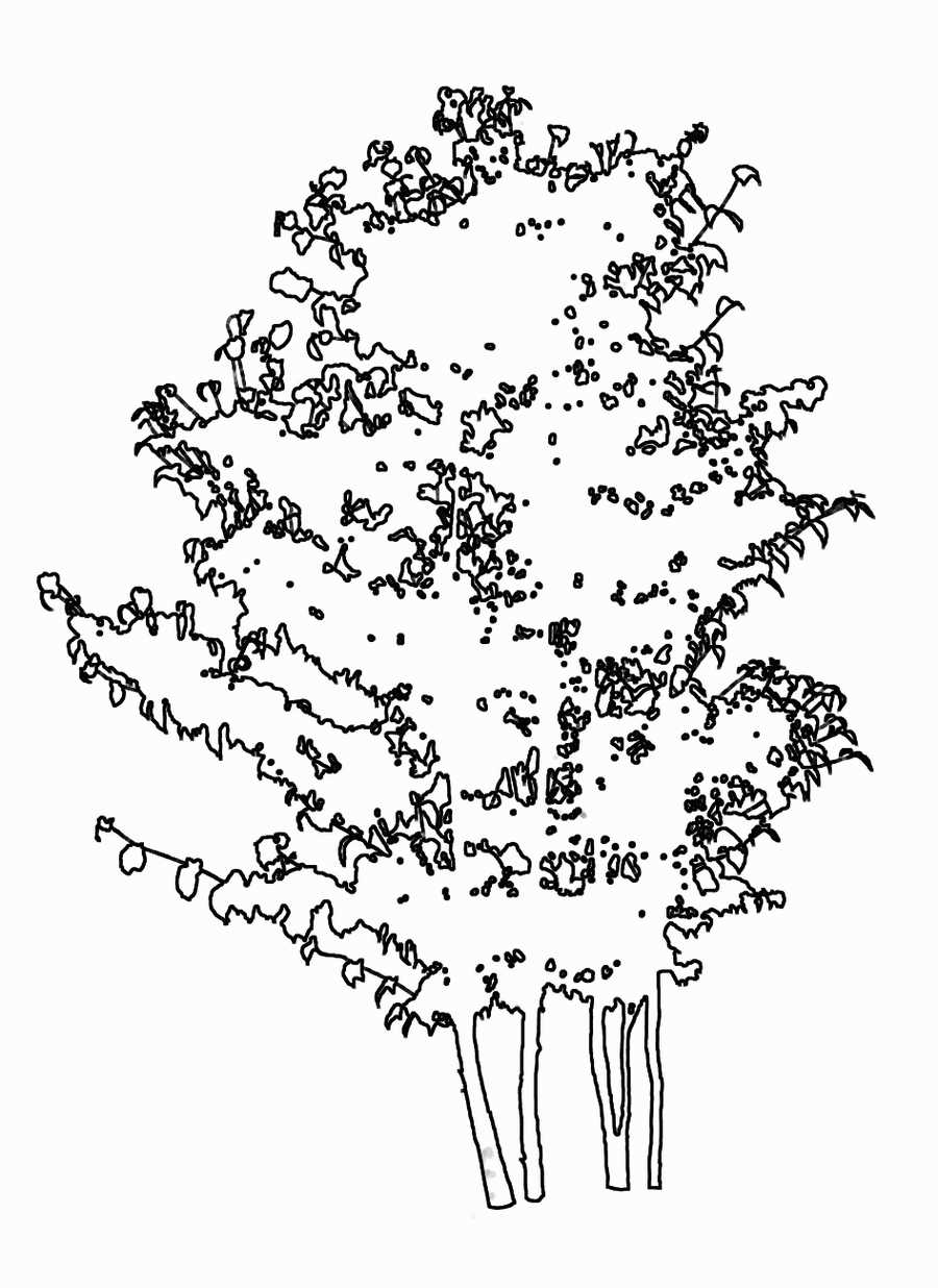 Trees and Shrubs 2 - TenkeiKoubou ></a>
<script language=JavaScript> 
  var txt = 