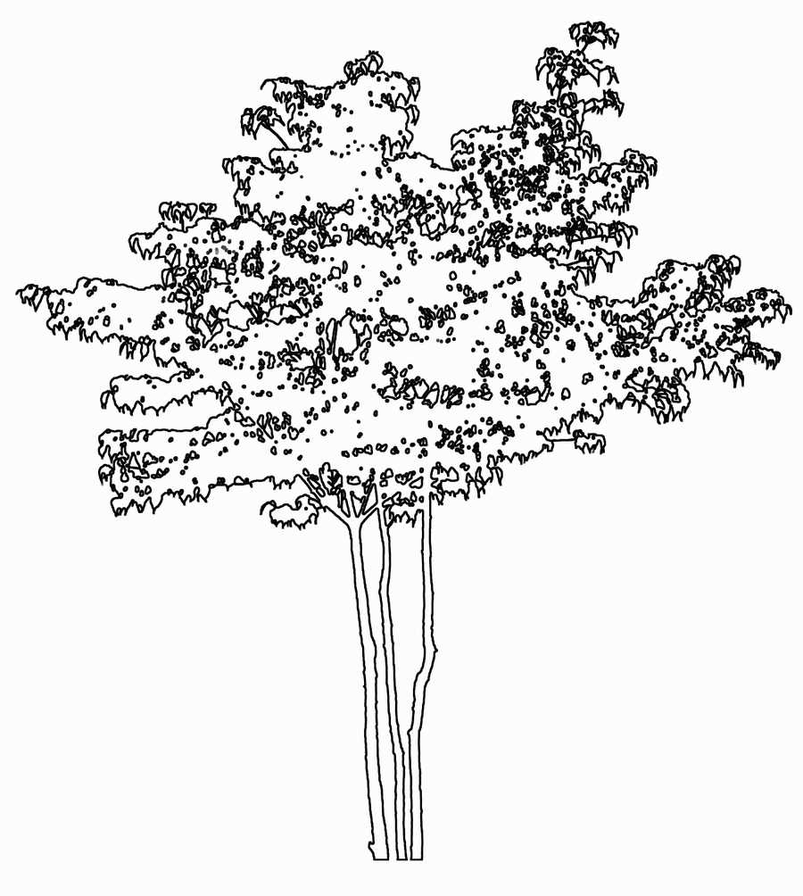 Trees and Shrubs 2 - TenkeiKoubou ></a>
<script language=JavaScript> 
  var txt = 
