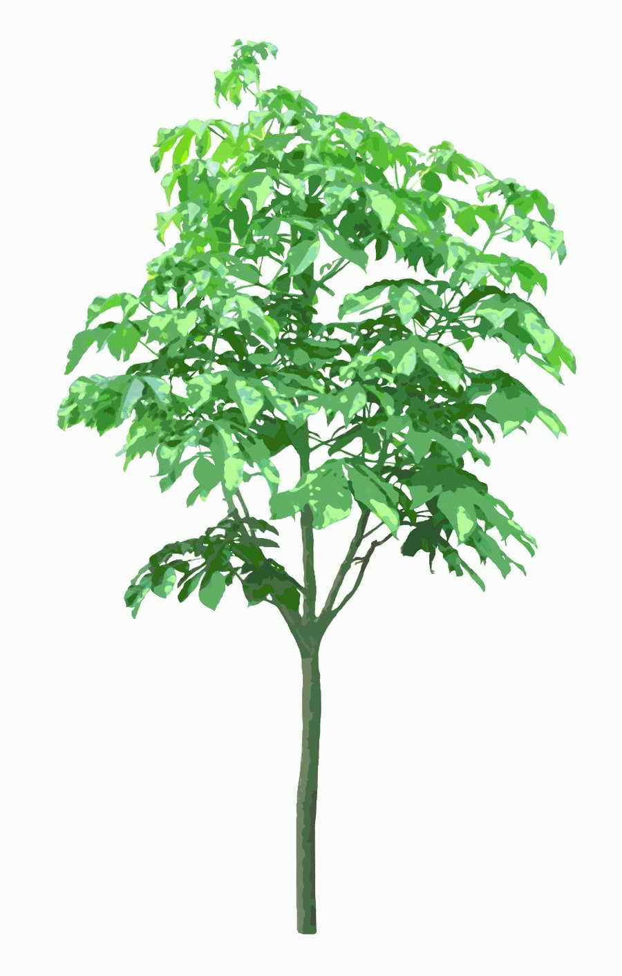 Trees and Shrubs 2 - TenkeiKoubou ></a>
<script language=JavaScript> 
  var txt = 