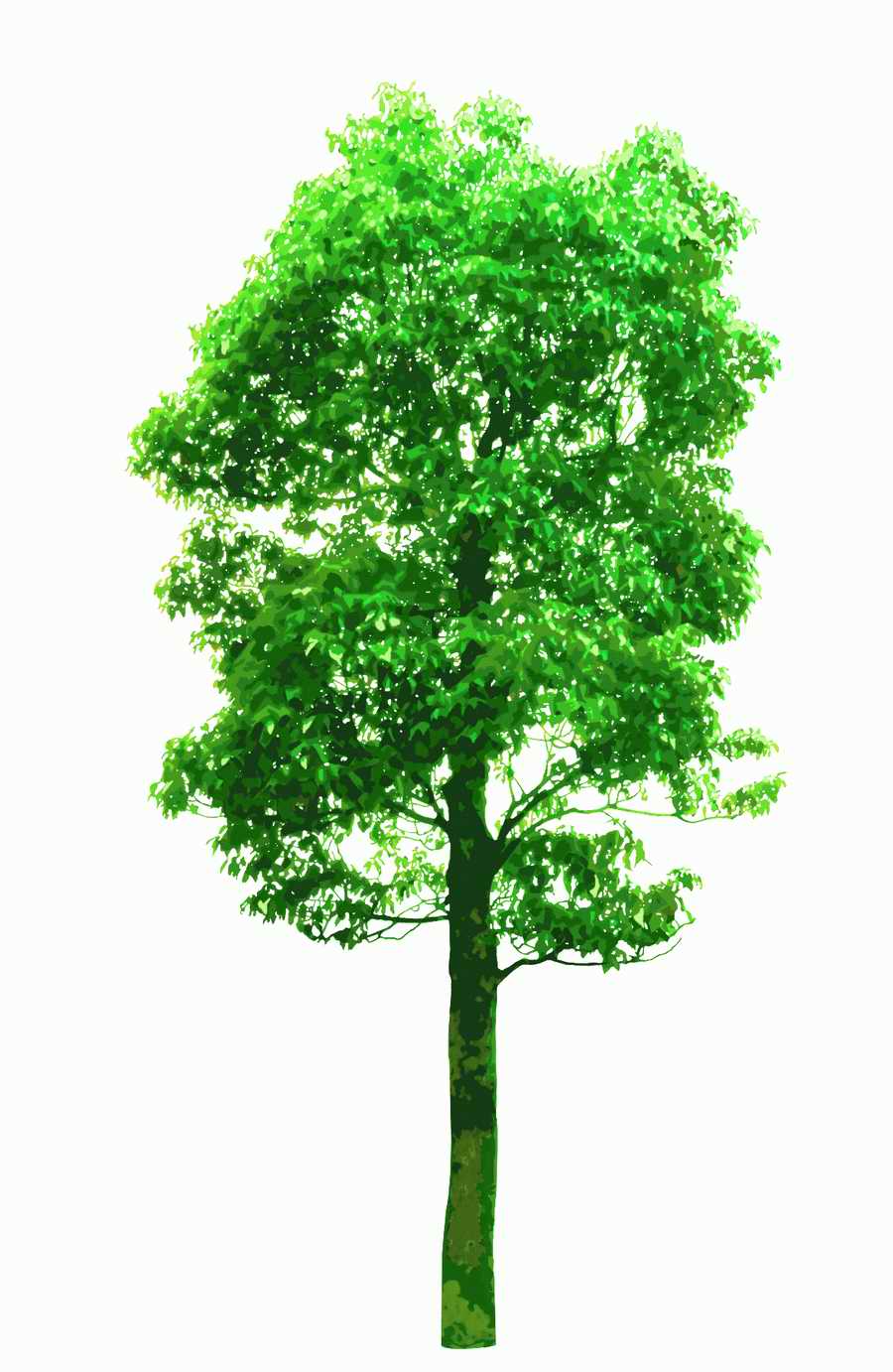 Trees and Shrubs 2 - TenkeiKoubou ></a>
<script language=JavaScript> 
  var txt = 