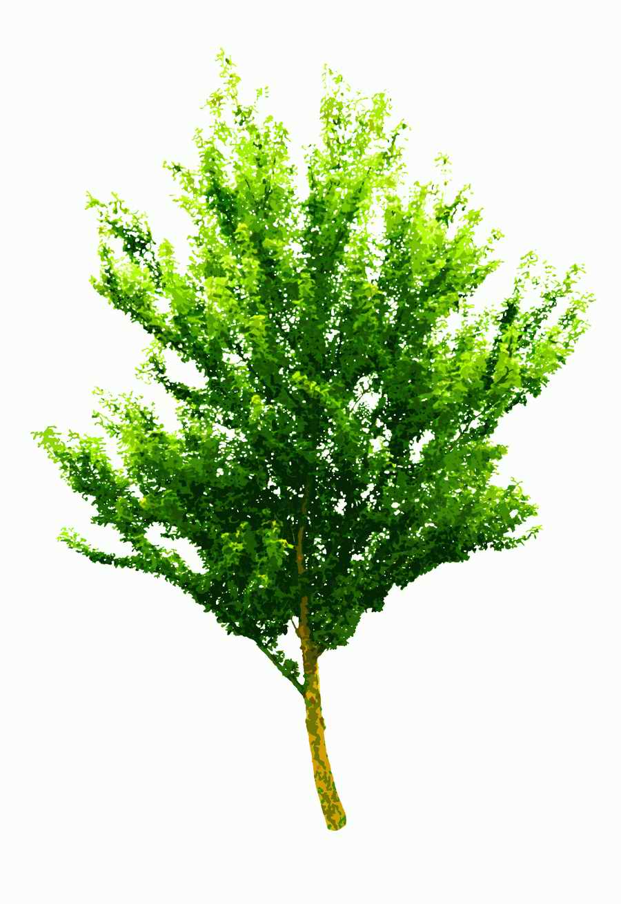 Trees and Shrubs 2 - TenkeiKoubou ></a>
<script language=JavaScript> 
  var txt = 