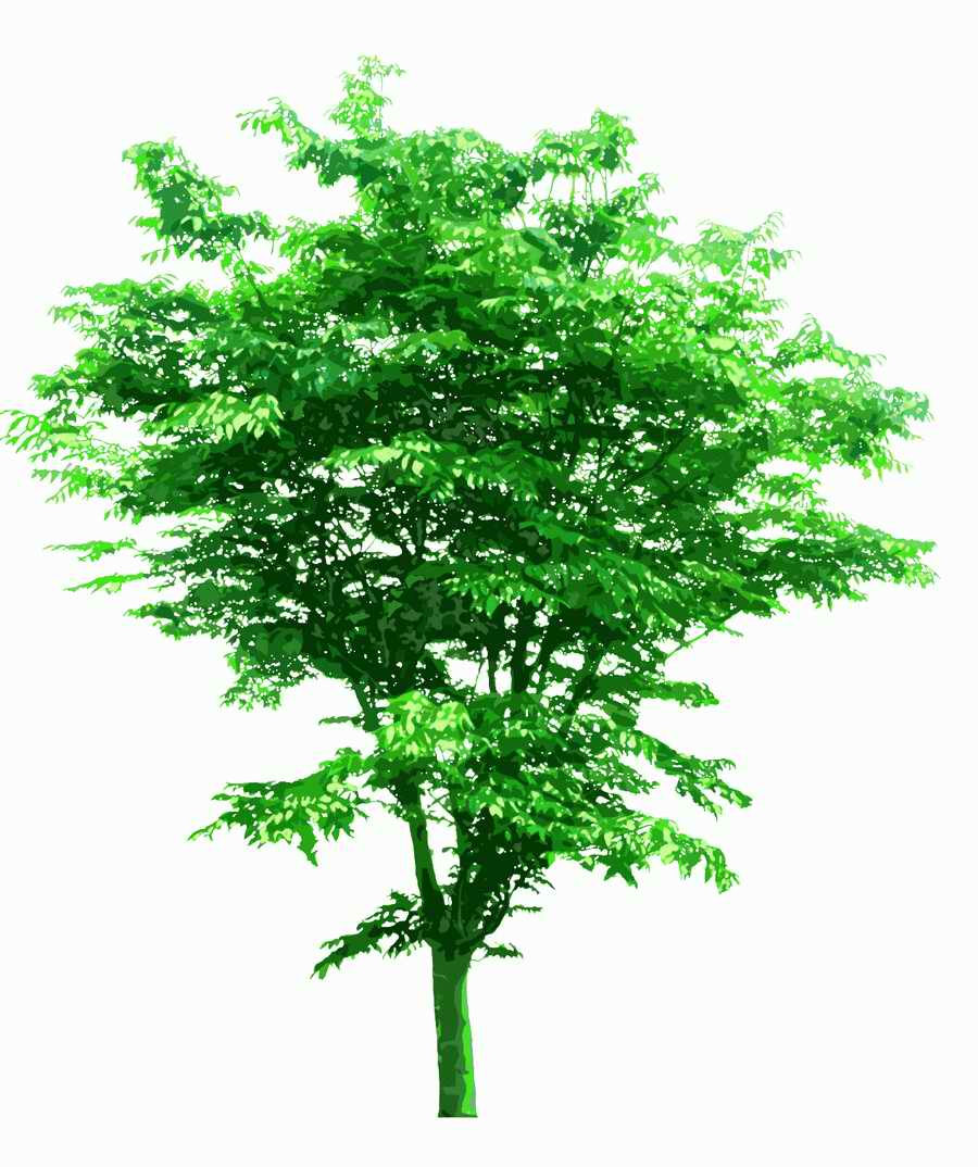 Trees and Shrubs 2 - TenkeiKoubou ></a>
<script language=JavaScript> 
  var txt = 