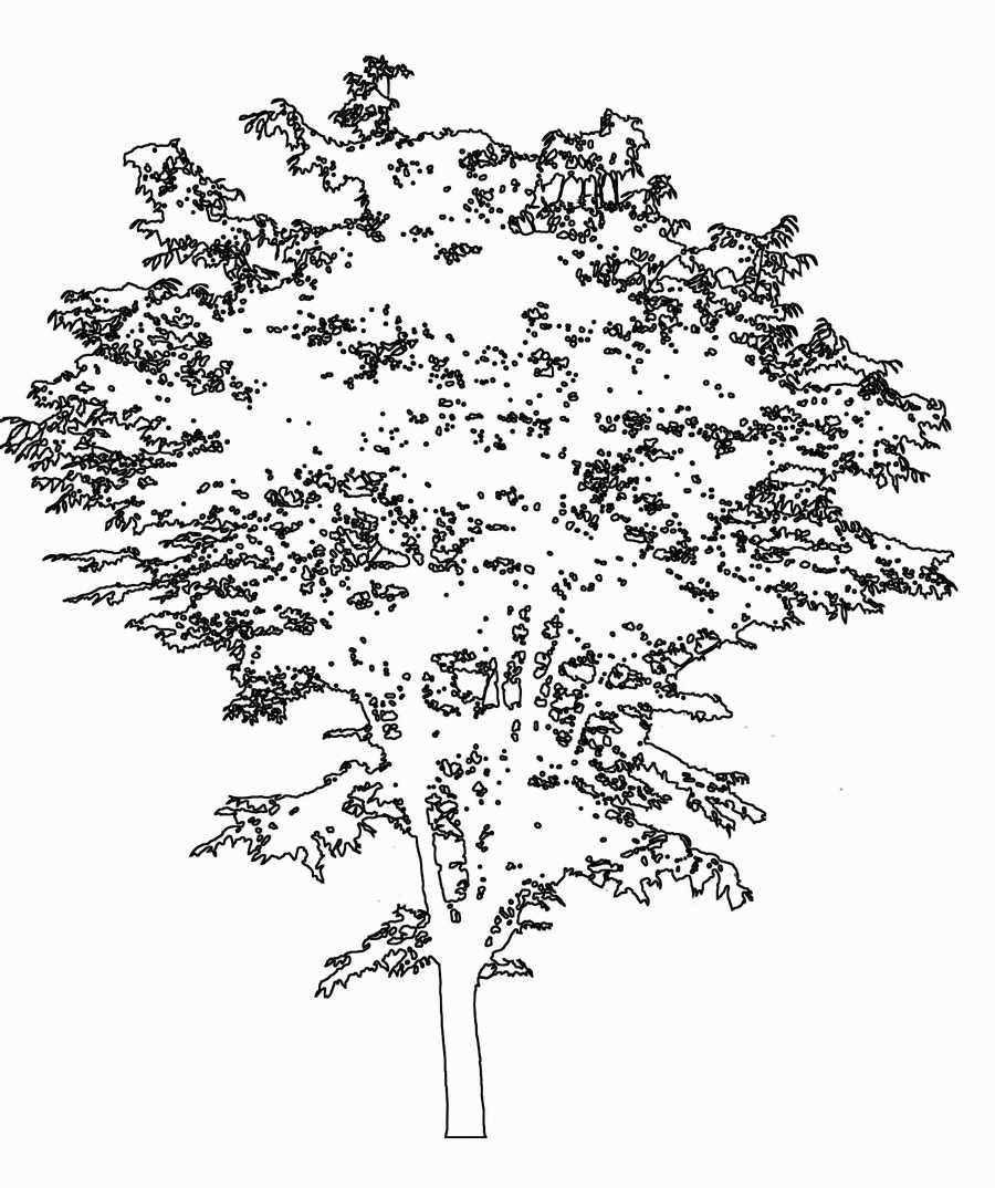 Trees and Shrubs 2 - TenkeiKoubou ></a>
<script language=JavaScript> 
  var txt = 