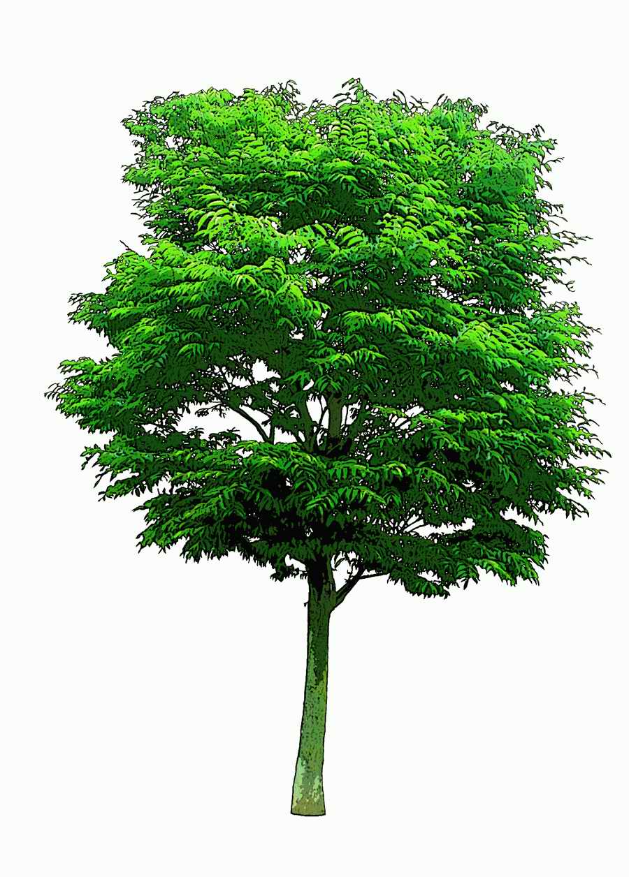 Trees and Shrubs 2 - TenkeiKoubou ></a>
<script language=JavaScript> 
  var txt = 