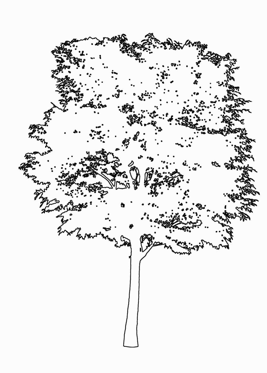 Trees and Shrubs 2 - TenkeiKoubou ></a>
<script language=JavaScript> 
  var txt = 