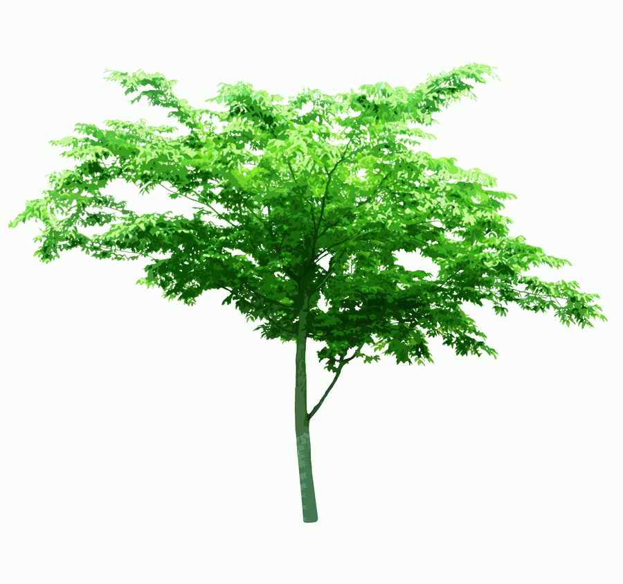 Trees and Shrubs 2 - TenkeiKoubou ></a>
<script language=JavaScript> 
  var txt = 