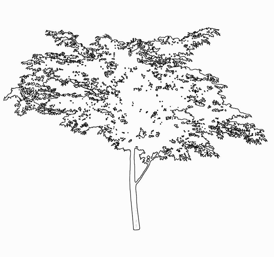 Trees and Shrubs 2 - TenkeiKoubou ></a>
<script language=JavaScript> 
  var txt = 
