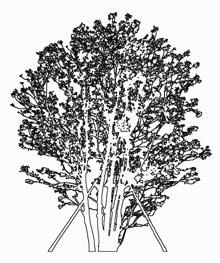 Trees and Shrubs 2 - TenkeiKoubou ></a>
<script language=JavaScript> 
  var txt = 