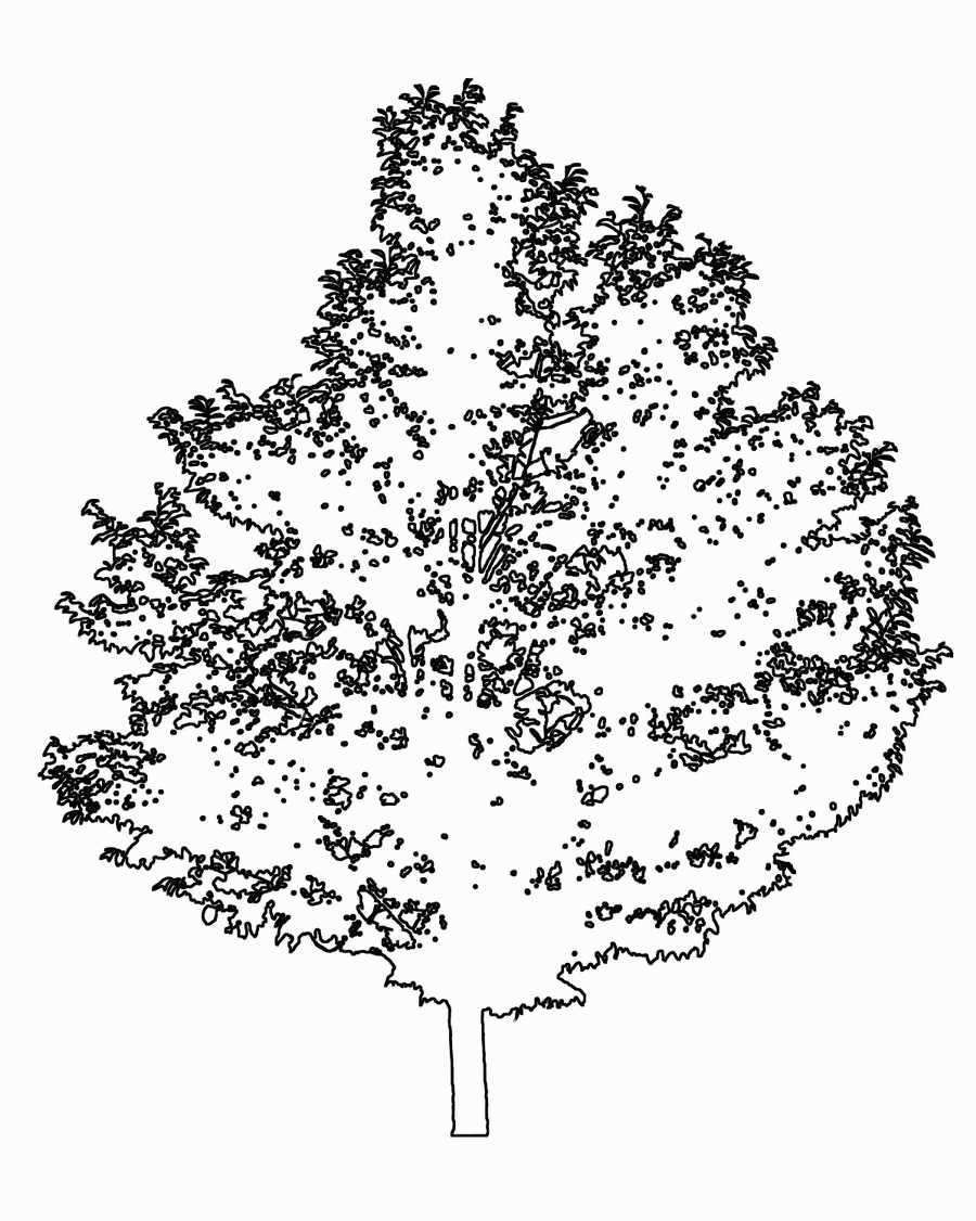 Trees and Shrubs 2 - TenkeiKoubou ></a>
<script language=JavaScript> 
  var txt = 