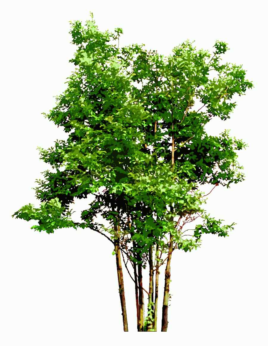 Trees and Shrubs 2 - TenkeiKoubou ></a>
<script language=JavaScript> 
  var txt = 