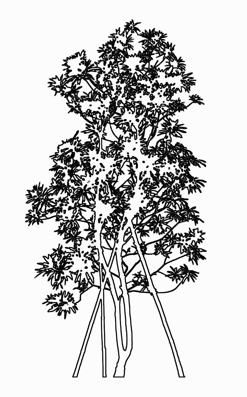 Trees and Shrubs 2 - TenkeiKoubou ></a>
<script language=JavaScript> 
  var txt = 