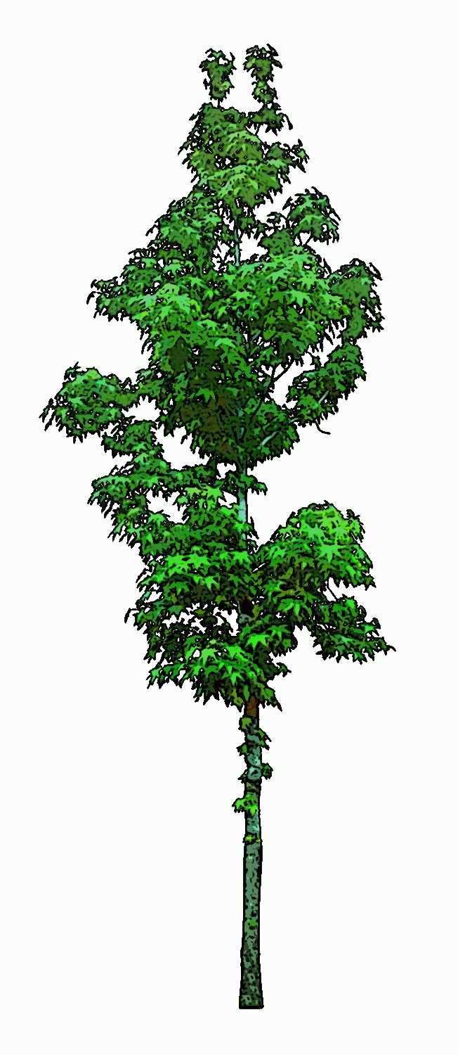 Trees and Shrubs 2 - TenkeiKoubou ></a>
<script language=JavaScript> 
  var txt = 