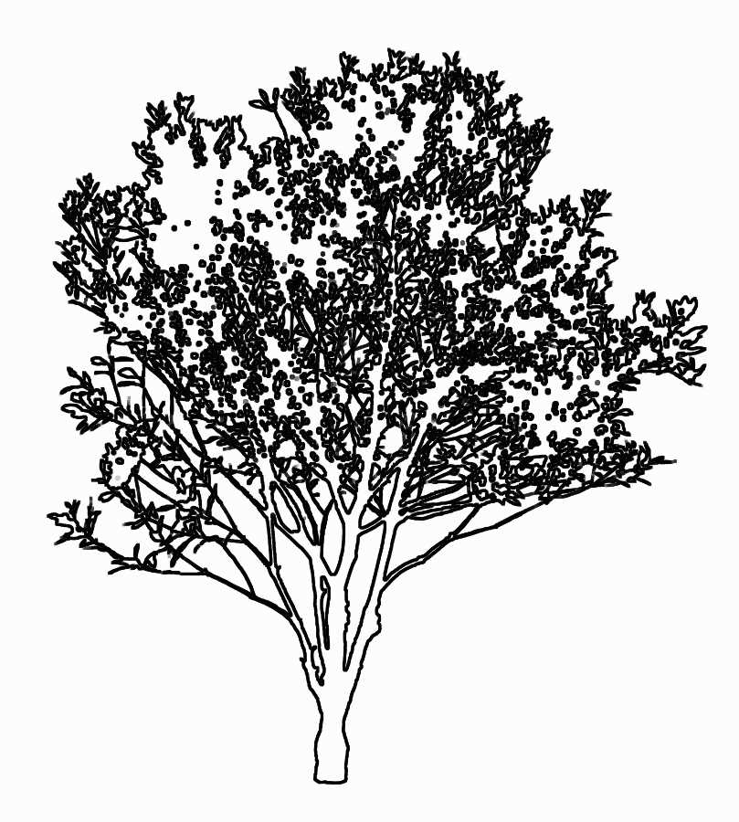 Trees and Shrubs 2 - TenkeiKoubou ></a>
<script language=JavaScript> 
  var txt = 