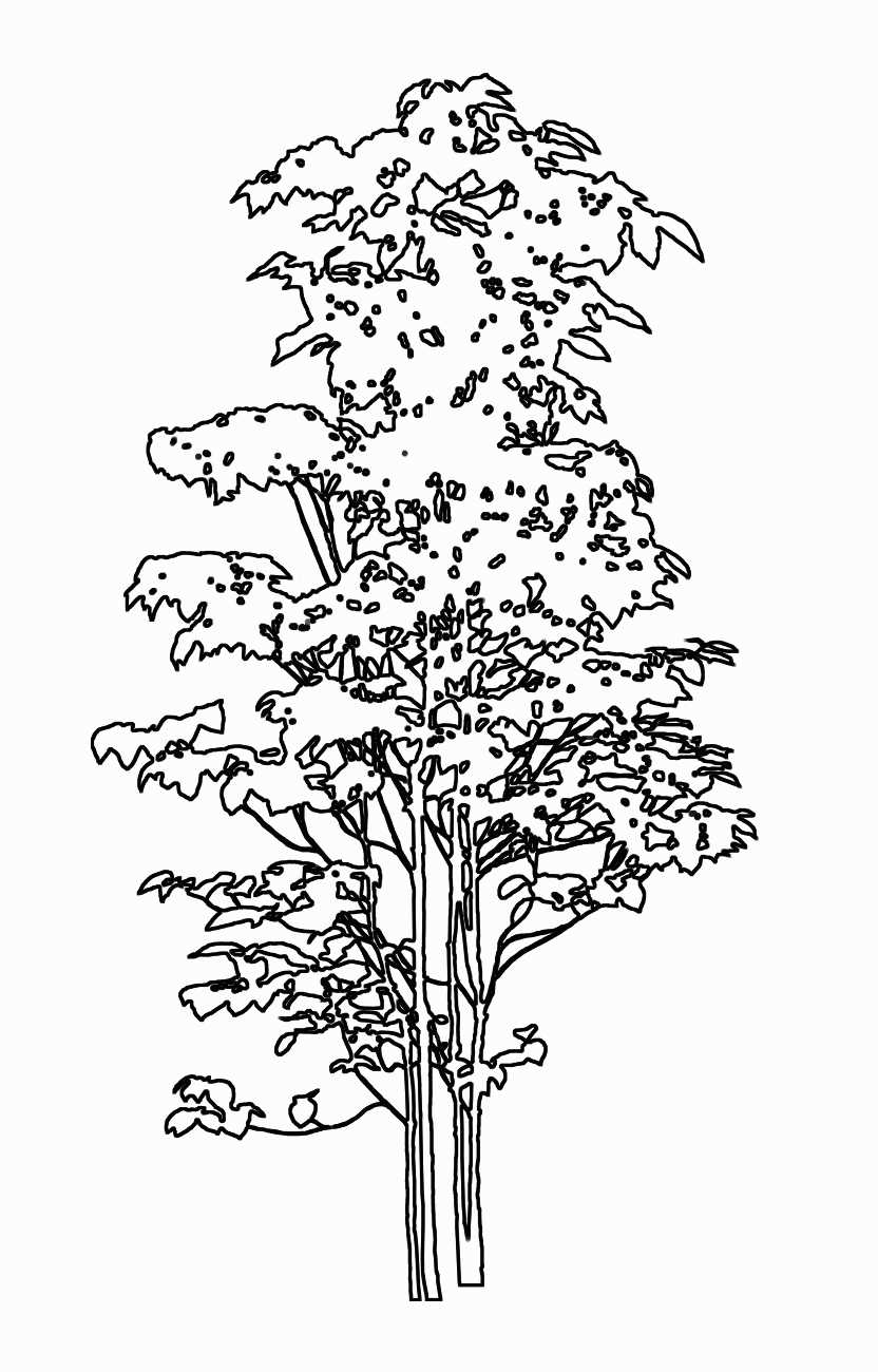 Trees and Shrubs 2 - TenkeiKoubou ></a>
<script language=JavaScript> 
  var txt = 