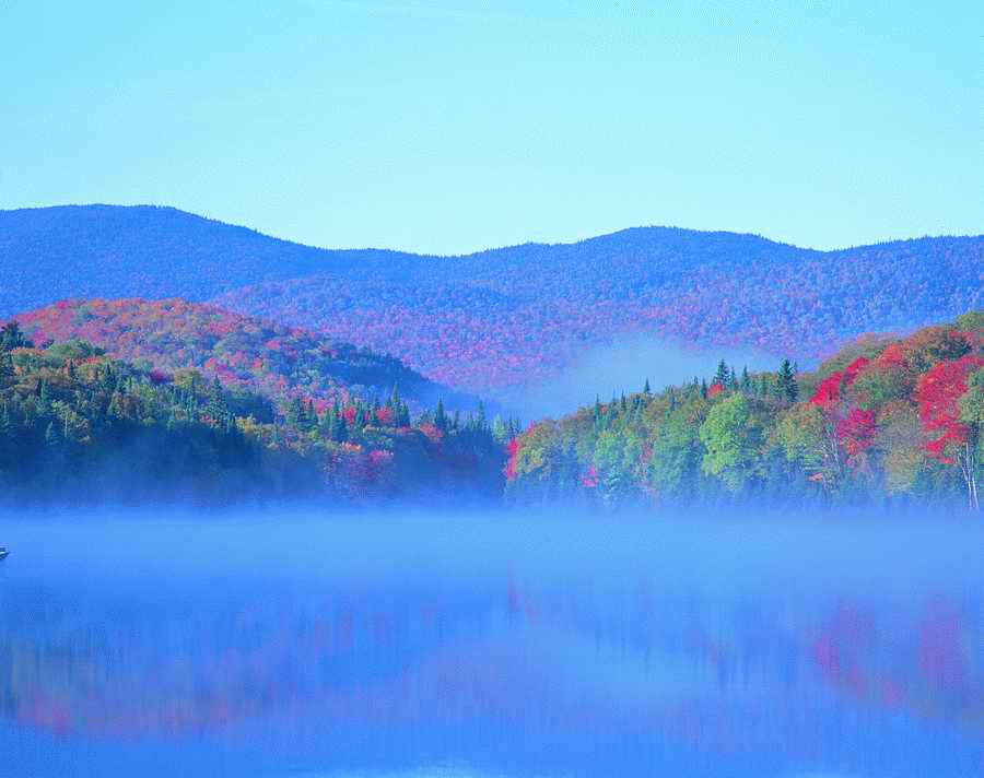 Autumn - VisualDisk ></a>
<script language=JavaScript> 
  var txt = 