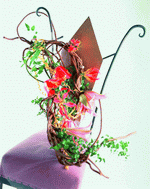 VisualDisk: Bouquet 2 