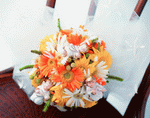 VisualDisk: Bouquet 2 