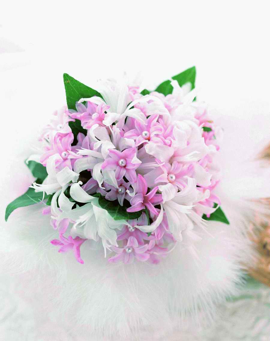 Bouquet 2 - VisualDisk ></a>
<script language=JavaScript> 
  var txt = 