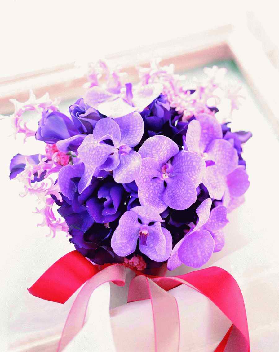 Bouquet 2 - VisualDisk ></a>
<script language=JavaScript> 
  var txt = 