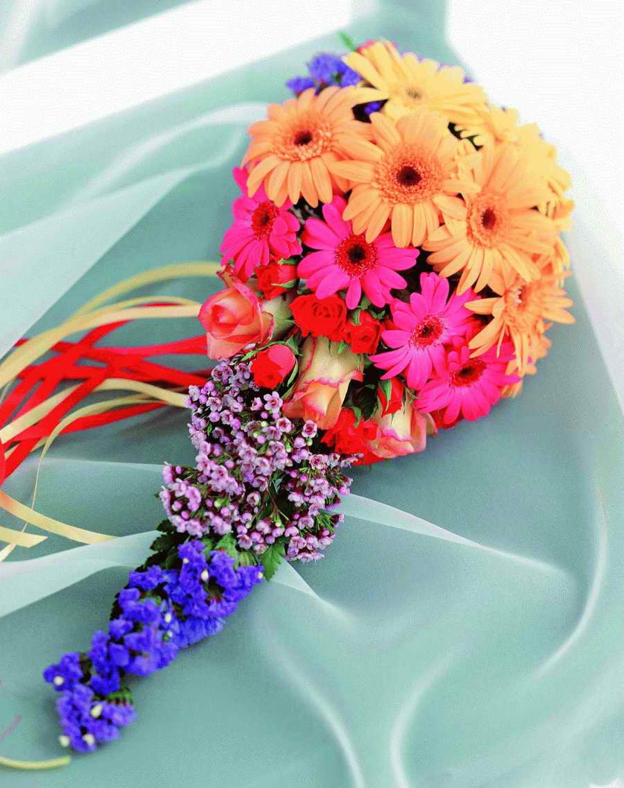 Bouquet 2 - VisualDisk ></a>
<script language=JavaScript> 
  var txt = 