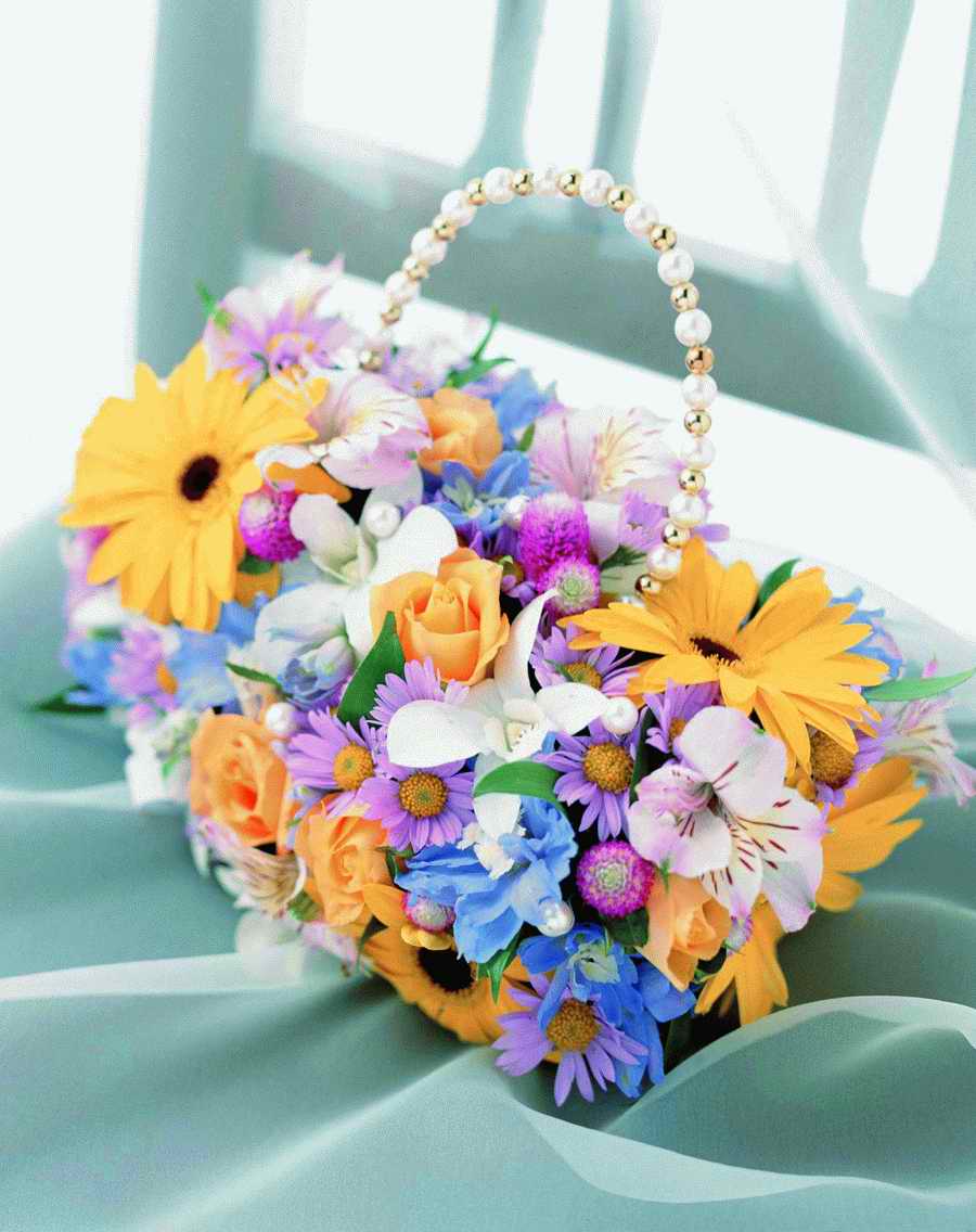 Bouquet 2 - VisualDisk ></a>
<script language=JavaScript> 
  var txt = 